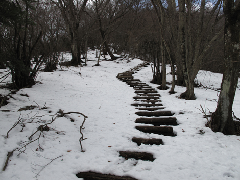 20170113hike (189)